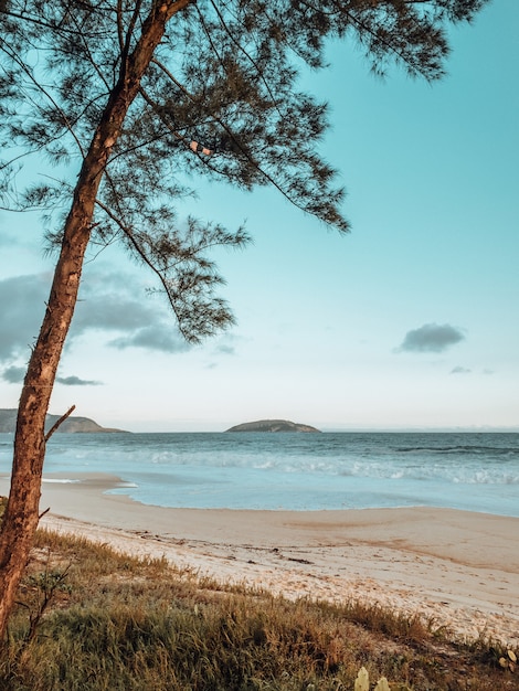 Free photo beautiful shot of the sea in rio de janeiro beach during sunset with waves crashing