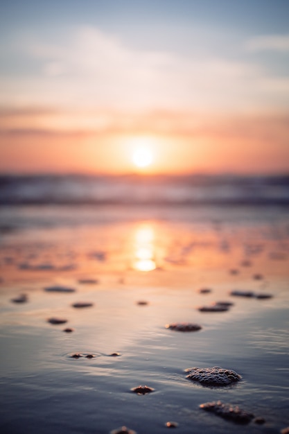 Free Photo beautiful shot of the sea during sunset in hug point, oregon