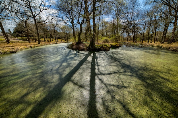 Free photo beautiful shot of a seasonal autumn park during nice breezy weather