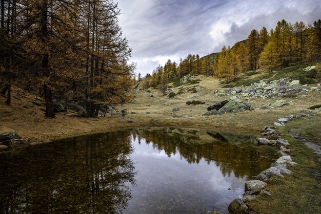 Beautiful shot of a small pond in the valley full of yellow trees