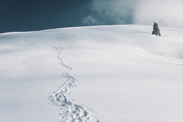 Beautiful shot of a snow landscape with foot tracks in the snow under the blue sky