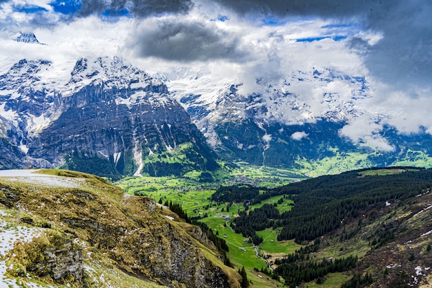 Beautiful shot of the snowy alps and green valleys in Grindelwald, Switzerland