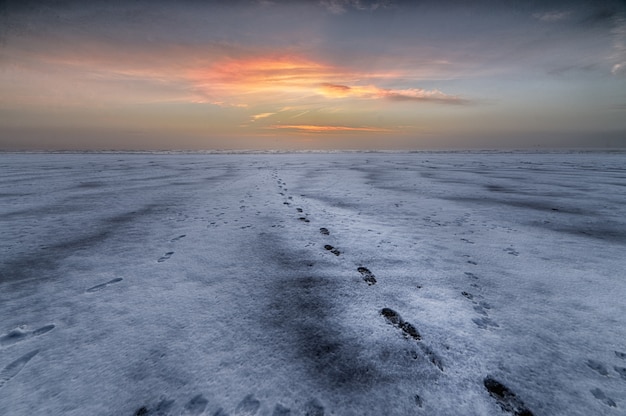 Free photo beautiful shot of sunset over the beach with footprints leading to the sea