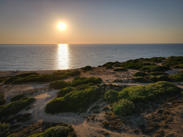 Beautiful shot of a sunset scenery with greenery on the seashore