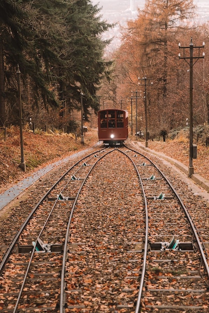 Free Photo beautiful shot of a tram railway in heidelberg, germany