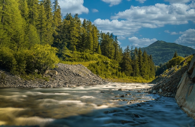 Beautiful shot of a tranquil river surrounded  by fir trees