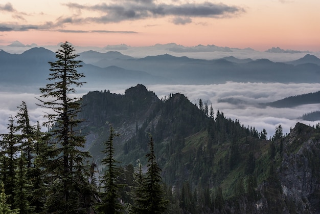 Free photo beautiful shot of trees near forested mountains above the clouds with a light pink sky