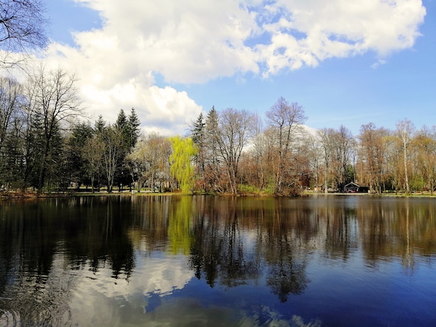 Beautiful shot of trees and their reflection on the pond in Jelenia Góra, Poland.