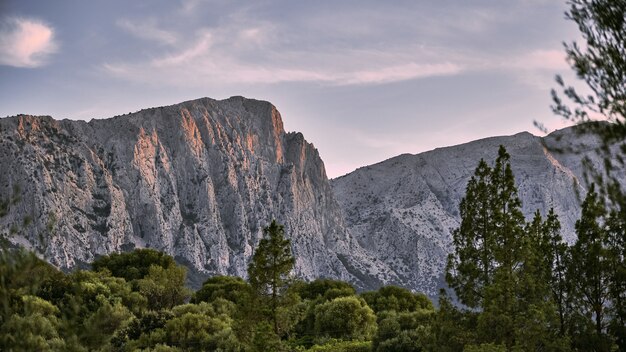 Beautiful shot of trees with mountains and a blue sky in the