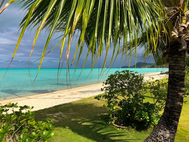 Beautiful shot of a tropical turquoise beach