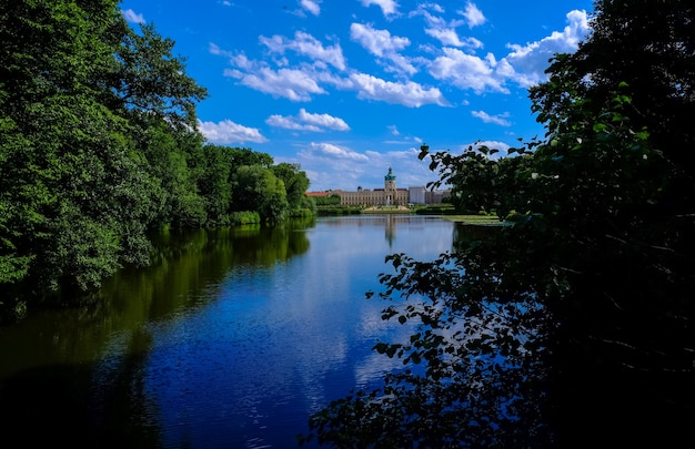 Beautiful shot of water in the middle of trees and plats with building in the distance