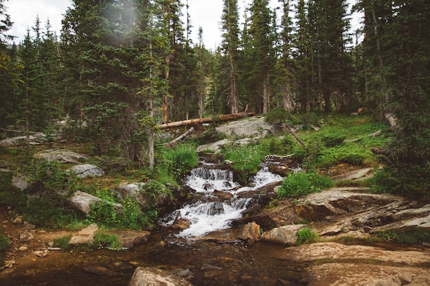 Beautiful shot of a water stream over the hill flowing down surrounded by plants and trees