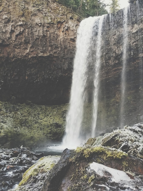 Beautiful shot of a waterfall and a lake in a forest