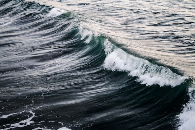 Beautiful shot of a wave in the ocean