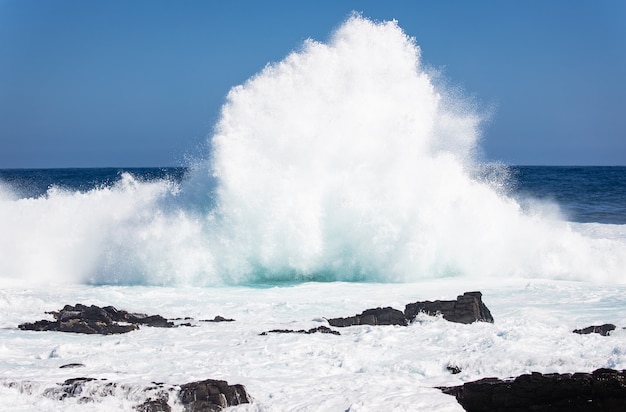 Free photo beautiful shot of a wavy sea against rocks and cliffs