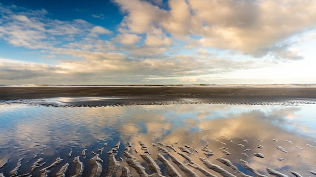 Free Photo beautiful shot of a wet sandy shore with water pond under a blue cloudy sky