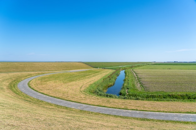 Free photo beautiful shot of a winding road leading through a field in the netherlands under a clear blue sky