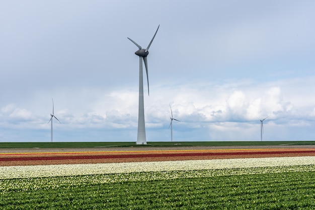 Free Photo beautiful shot of windmills in a field with a cloudy and blue sky