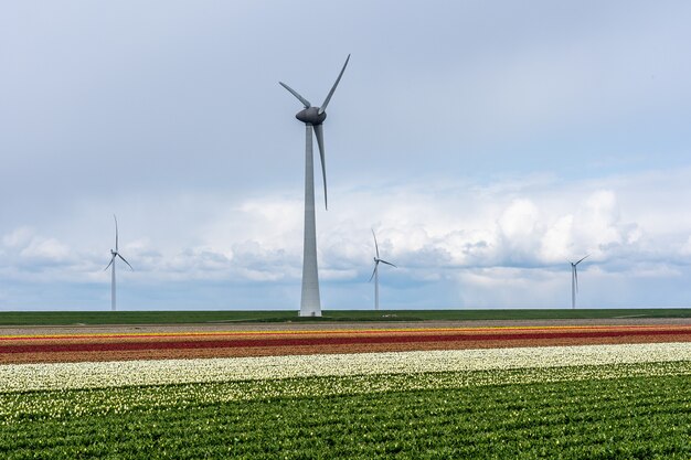 Beautiful shot of windmills in a field with a cloudy and blue sky