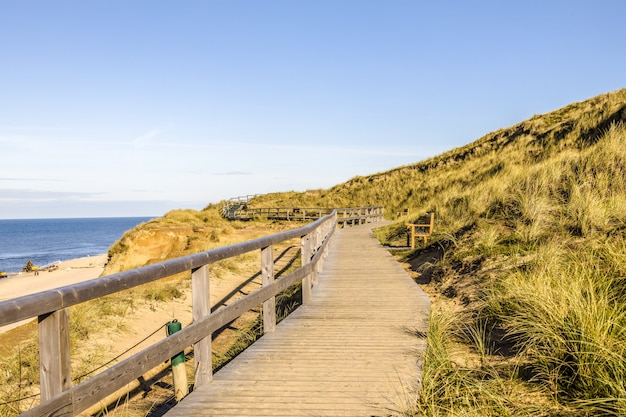 Free photo beautiful shot of a wooden path in hills at the shore of the ocean in sylt island in germany