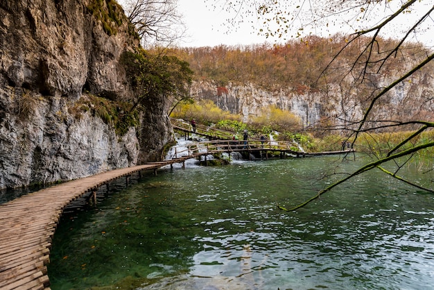 Free Photo beautiful shot of a wooden pathway in plitvice lakes national park in croatia