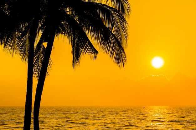 Beautiful Silhouette coconut palm tree on sky neary sea ocean beach at sunset or sunrise time