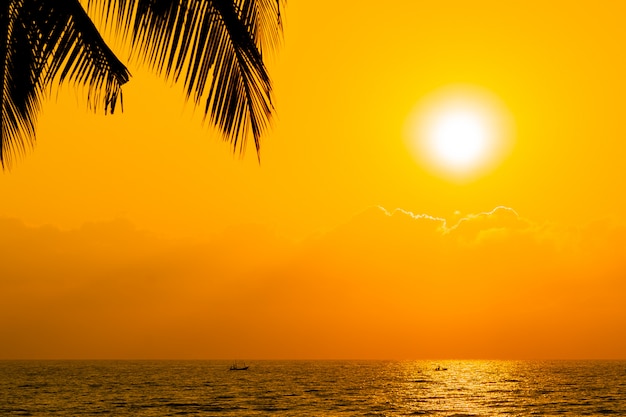 Beautiful Silhouette coconut palm tree on sky neary sea ocean beach at sunset or sunrise time