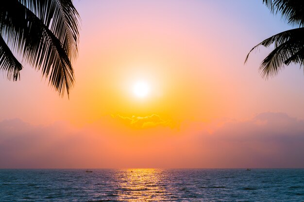 Beautiful Silhouette coconut palm tree on sky neary sea ocean beach at sunset or sunrise time