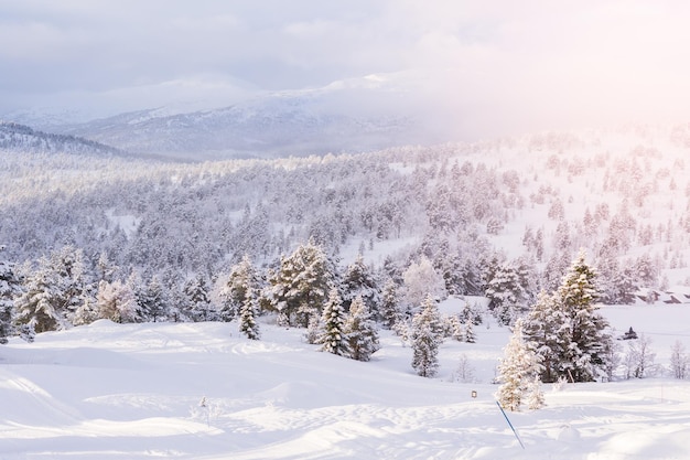 Beautiful skiing area in Volda, Norway