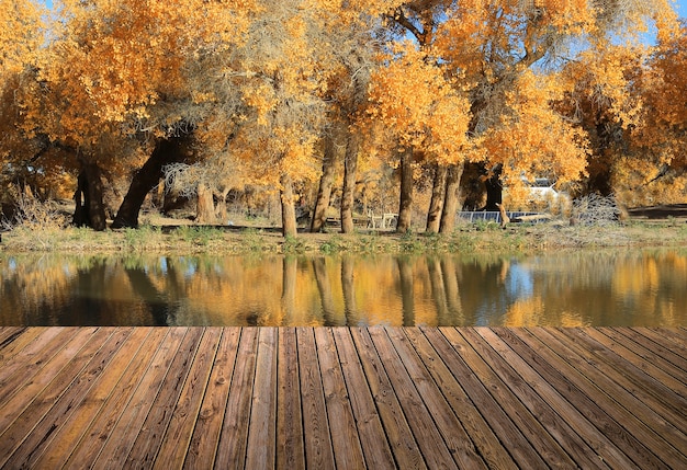 Free photo beautiful sky and river with the floor