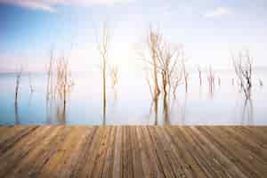 Free photo beautiful sky and river with the floor