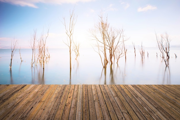 Free Photo beautiful sky and river with the floor