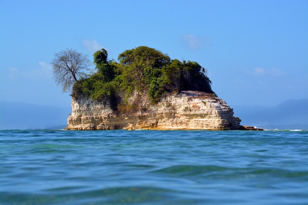 Free photo beautiful small island covered with trees in the middle of the ocean under the clear blue sky