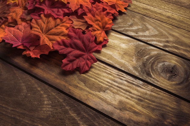 Free photo beautiful small pile of autumn leaves composition