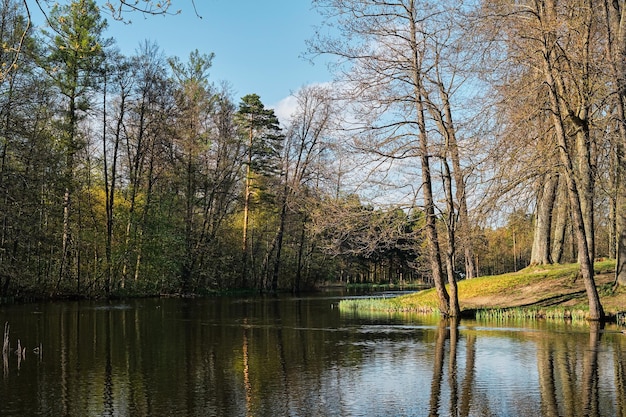 Free photo beautiful spring lake in a public forest park spring early evening sunny day blue sky with clouds northern nature beginning of spring banner idea