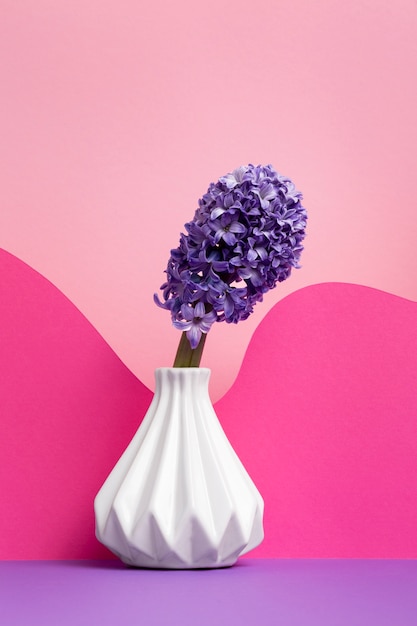 Beautiful spring wallpaper with purple hyacinth