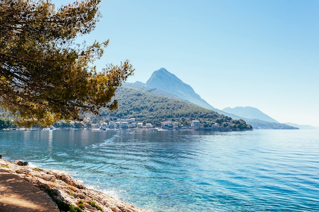 Free photo beautiful still lake with trees and mountain