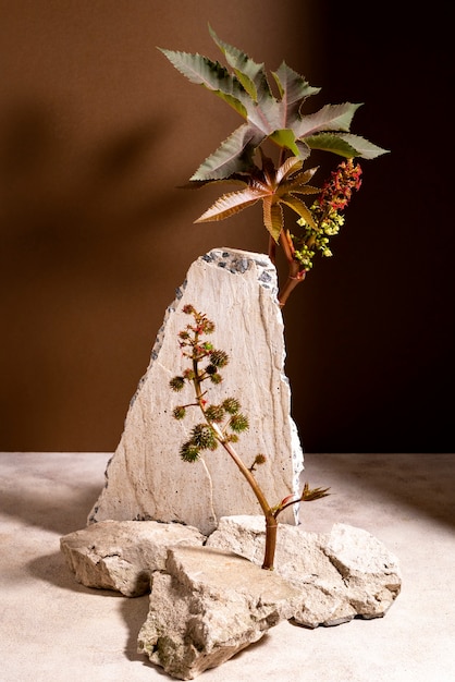 Free photo beautiful still life with herbal medicine