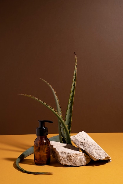 Beautiful still life with herbal medicine