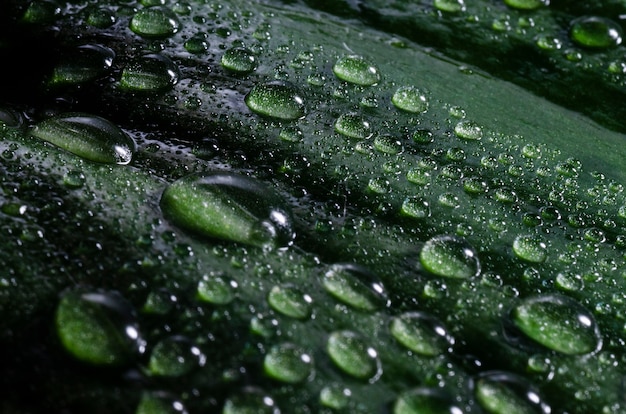 Beautiful still life with water