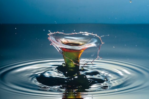 Free Photo beautiful still life with water