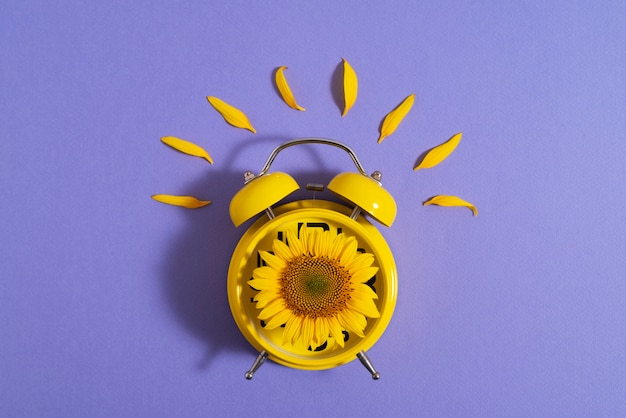 Free Photo beautiful sunflower in studio still life