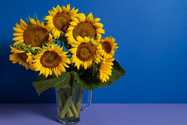 Beautiful sunflowers in studio still life