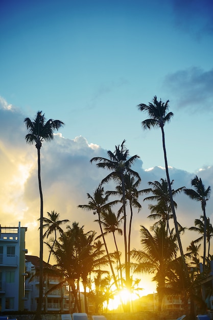 Free Photo beautiful sunset at a beach resort in the tropics