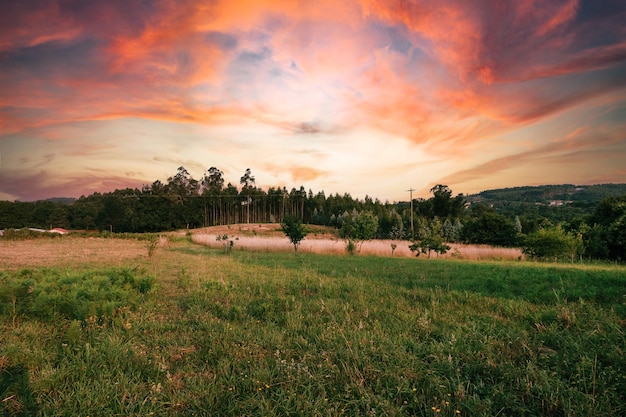 Free Photo beautiful sunset in the field