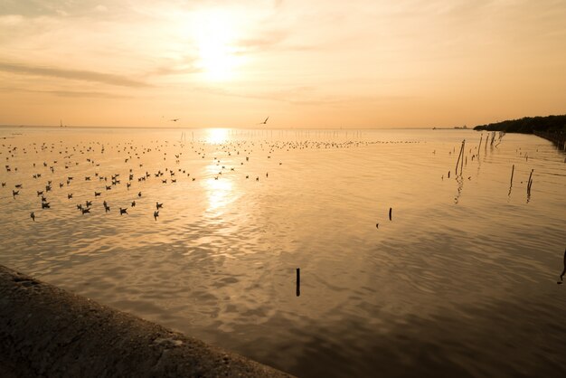 beautiful sunset above the sea