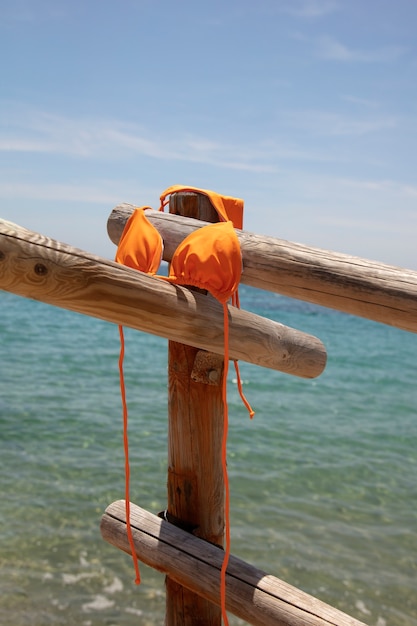 Beautiful swimsuit at seaside