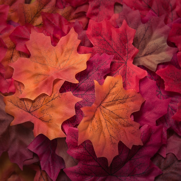 Free photo beautiful textured autumn maple leaves