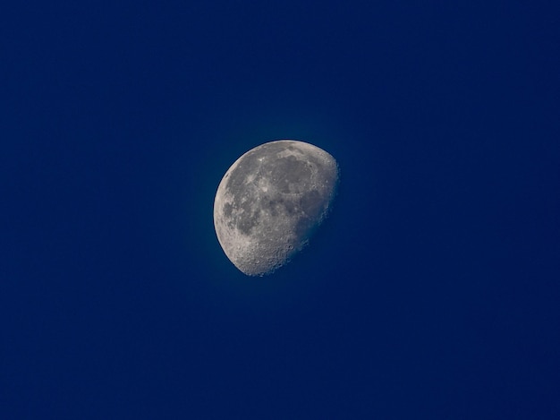 Beautiful textured gray moon in a blue night sky