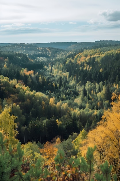 Free photo beautiful tree canopy perspective with nature landscape